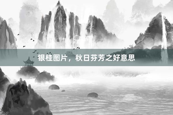 银桂图片，秋日芬芳之好意思