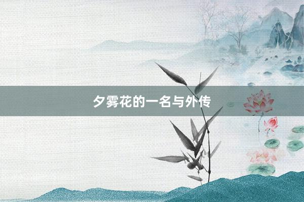 夕雾花的一名与外传