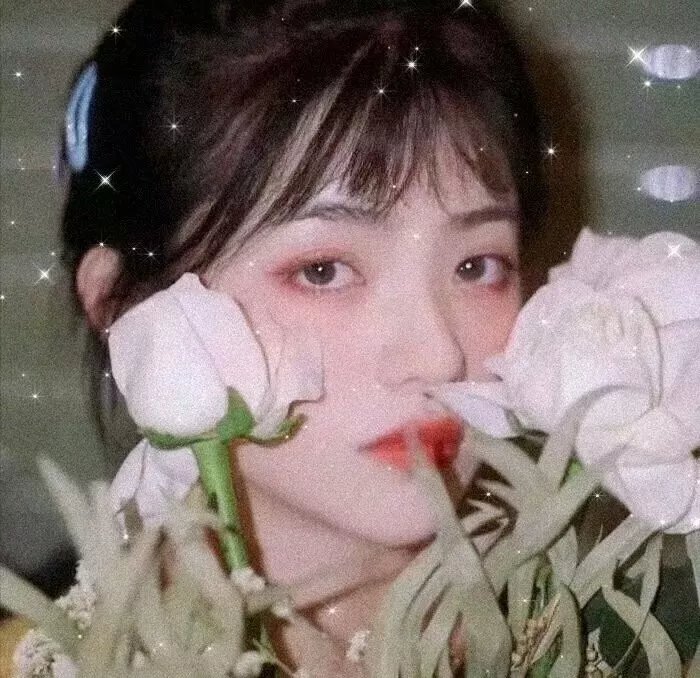 虎踞龙蟠